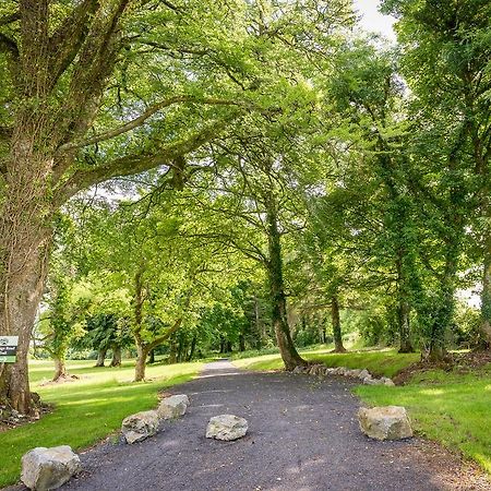 Breaffy Woods Hotel Каслбар Екстер'єр фото